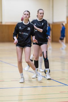 Bild 177 - wBJ TSV Ellerau - HSG Stoertal Hummeln : Ergebnis: 26:19
